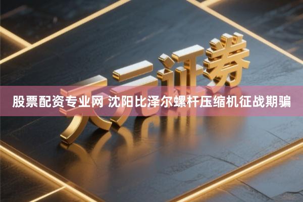 股票配资专业网 沈阳比泽尔螺杆压缩机征战期骗